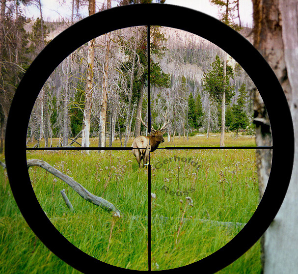 G&R Standard Reticle